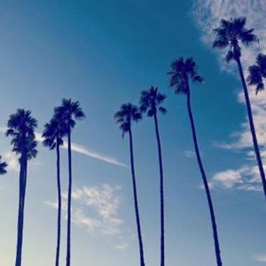 Meet your Posher, Josie